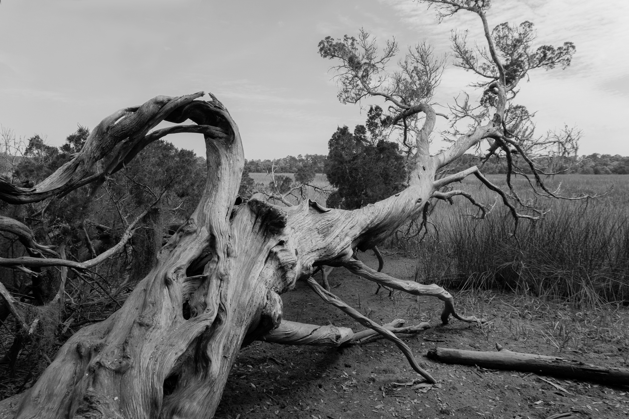 Preston Lindsey Photography